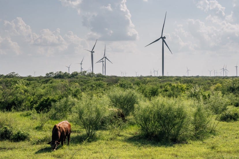 Tesla, Block and Blockstream ally to mine bitcoin off solar power in Texas