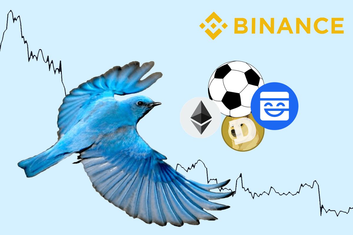 Binance Crypto Indices: What Does BlueBird Track?