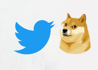 Twitter Logo Shiba Inu Dogecoin Elon Musk