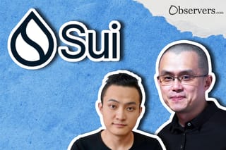 The Launch of the Main Sui Network, What Happened Before and After?