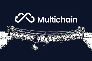 Multichain bridge