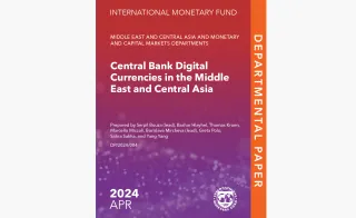 IMF MECA CBDC repo