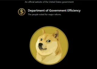 DOGE Elon Musk Department of Government Efficiency Website