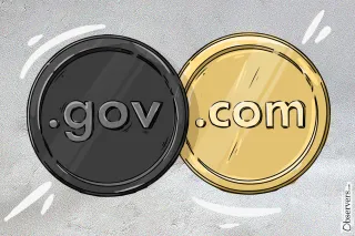 Money, Stock, or Maybe... Nothing. What Is the Value of a Governance Token?