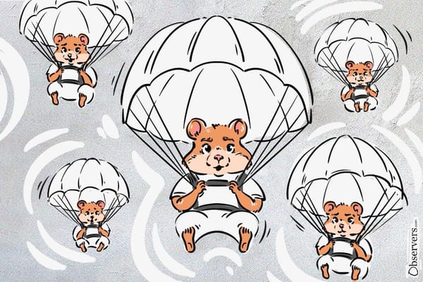 Hamster Kombat: From Shaved Hamster to Biggest Airdrop Ever